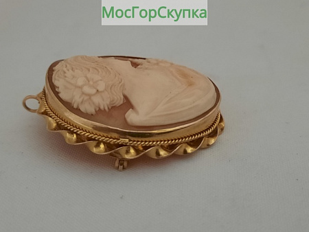 Брошь — Камея — Раковина — Золото 417 пробы, 10 карат
