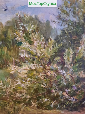 Картина Ласточки над цветущей черемухой — Авт. ИВАНОВА В.В.