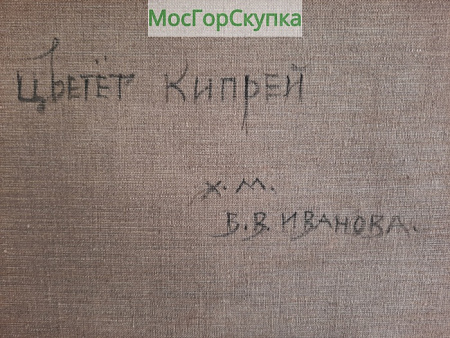Картина Цветёт Кипрей — холст, масло — Автор ИВАНОВА В.В.