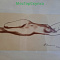 Картина "Ню", бумага, пастель, художник Загоскин