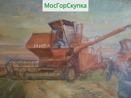 Картина Нивы Алтая — холст, масло — Авт. Иванова В.В